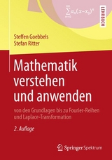 Mathematik verstehen und anwenden - Steffen Goebbels, Stefan Ritter