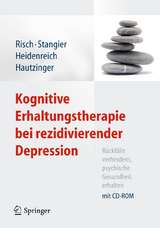 Kognitive Erhaltungstherapie bei rezidivierender Depression - Anne Kathrin Risch, Ulrich Stangier, Thomas Heidenreich, Martin Hautzinger