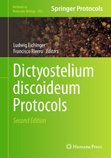 Dictyostelium discoideum Protocols - 