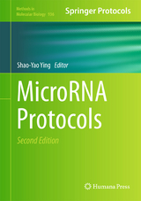 MicroRNA Protocols - 
