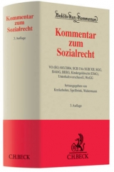 Kommentar zum Sozialrecht - Kreikebohm, Ralf; Spellbrink, Wolfgang; Waltermann, Raimund