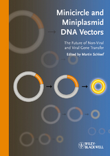 Minicircle and Miniplasmid DNA Vectors - 