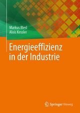 Energieeffizienz in der Industrie - Markus Blesl, Alois Kessler