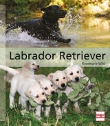 Labrador Retriever - Wild, Rosemarie