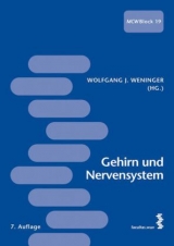 Gehirn und Nervensystem - Weninger, Wolfgang