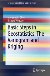 Basic Steps in Geostatistics: The Variogram and Kriging -  Margaret A. Oliver,  Richard Webster