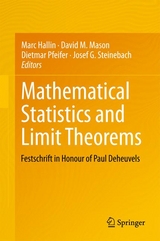 Mathematical Statistics and Limit Theorems - 