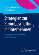 Strategien zur Strombeschaffung in Unternehmen - Ingrid Schumacher, Philip Würfel