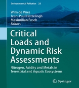 Critical Loads and Dynamic Risk Assessments - 