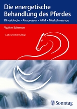Die energetische Behandlung des Pferdes - Salomon, Walter