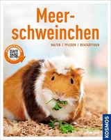 Meerschweinchen - Angela Beck