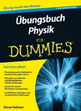 Übungsbuch Physik für Dummies - Holzner, Steven