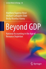 Beyond GDP - Matthew Kuperus Heun, Michael Carbajales-Dale, Becky Roselius Haney