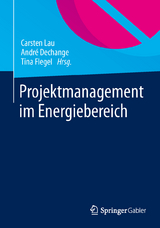 Projektmanagement im Energiebereich - 