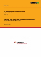 Triest um 1900. Selbst- und Fremdwahrnehmung eines multinationalen Kulturraums - Rabea Haß