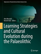 Learning Strategies and Cultural Evolution during the Palaeolithic - 