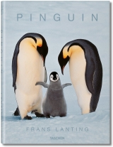 Pinguin - Frans Lanting