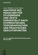 Allgemeine Anatomie, Rücken, Bauch, Becken, Bein - Anton Waldeyer, Anton Mayet