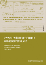 Zwischen Österreich und Großdeutschland - Robert Kriechbaumer