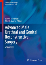 Advanced Male Urethral and Genital Reconstructive Surgery - Brandes, Steven B.; Morey, Allen F.