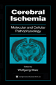 Cerebral Ischemia: Molecular and Cellular Pathophysiology (Contemporary Neuroscience)