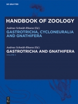 Gastrotricha and Gnathifera - 