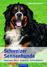 Schweizer Sennenhunde - Sabine Koslowski