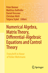 Numerical Algebra, Matrix Theory, Differential-Algebraic Equations and Control Theory - 