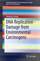 DNA Replication - Damage from Environmental Carcinogens -  Huidong Zhang