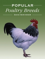 Popular Poultry Breeds - David Scrivener