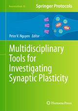 Multidisciplinary Tools for Investigating Synaptic Plasticity - 