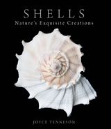 Shells -  Joyce Tenneson