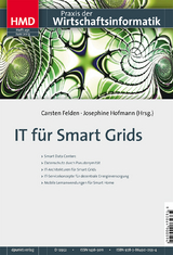 IT für Smart Grids - 