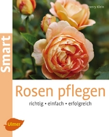 Rosen pflegen - Henry Klein