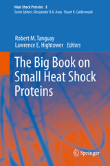 The Big Book on Small Heat Shock Proteins - 