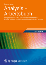 Analysis - Arbeitsbuch - Thomas Bauer