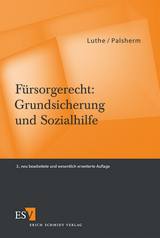 Fürsorgerecht: Grundsicherung und Sozialhilfe - Luthe, Ernst-Wilhelm; Palsherm, Ingo