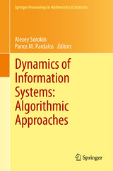 Dynamics of Information Systems: Algorithmic Approaches - 