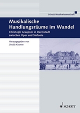 Musikalische Handlungsräume im Wandel - 