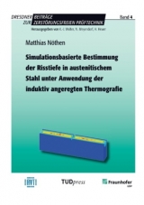 Simulationsbasierte Bestimmung der Risstiefe in austenitischem Stahl unter Anwendung der induktiv angeregten Thermografie - Matthias Nöthen