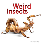 Weird Insects - Michael Worek