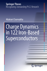 Charge Dynamics in 122 Iron-Based Superconductors - Aliaksei Charnukha