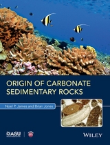 Origin of Carbonate Sedimentary Rocks -  Noel P. James,  Brian Jones
