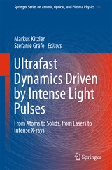 Ultrafast Dynamics Driven by Intense Light Pulses - 