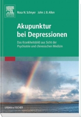 Akupunktur bei Depressionen - Schnyer, Rosa N.; Allen, John JB