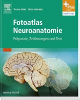 Fotoatlas Neuroanatomie - Deller, Thomas; Sebesteny, Tamas