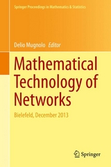 Mathematical Technology of Networks - 