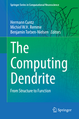 The Computing Dendrite - 