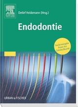 Endodontie - Heidemann, Detlef