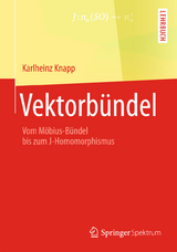 Vektorbündel - Karlheinz Knapp